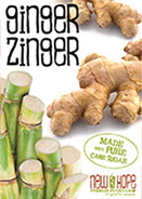 Ginger Zinger